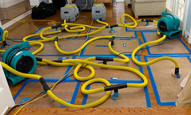 Professional Structural Drying And Dehumidification technician working in Prospect, OR